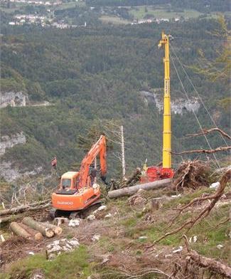 Lavori Nel Bosco